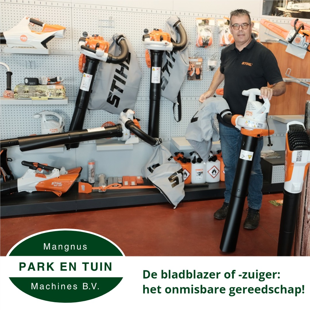 Het is herfst, de bladeren vallen van de bomen!