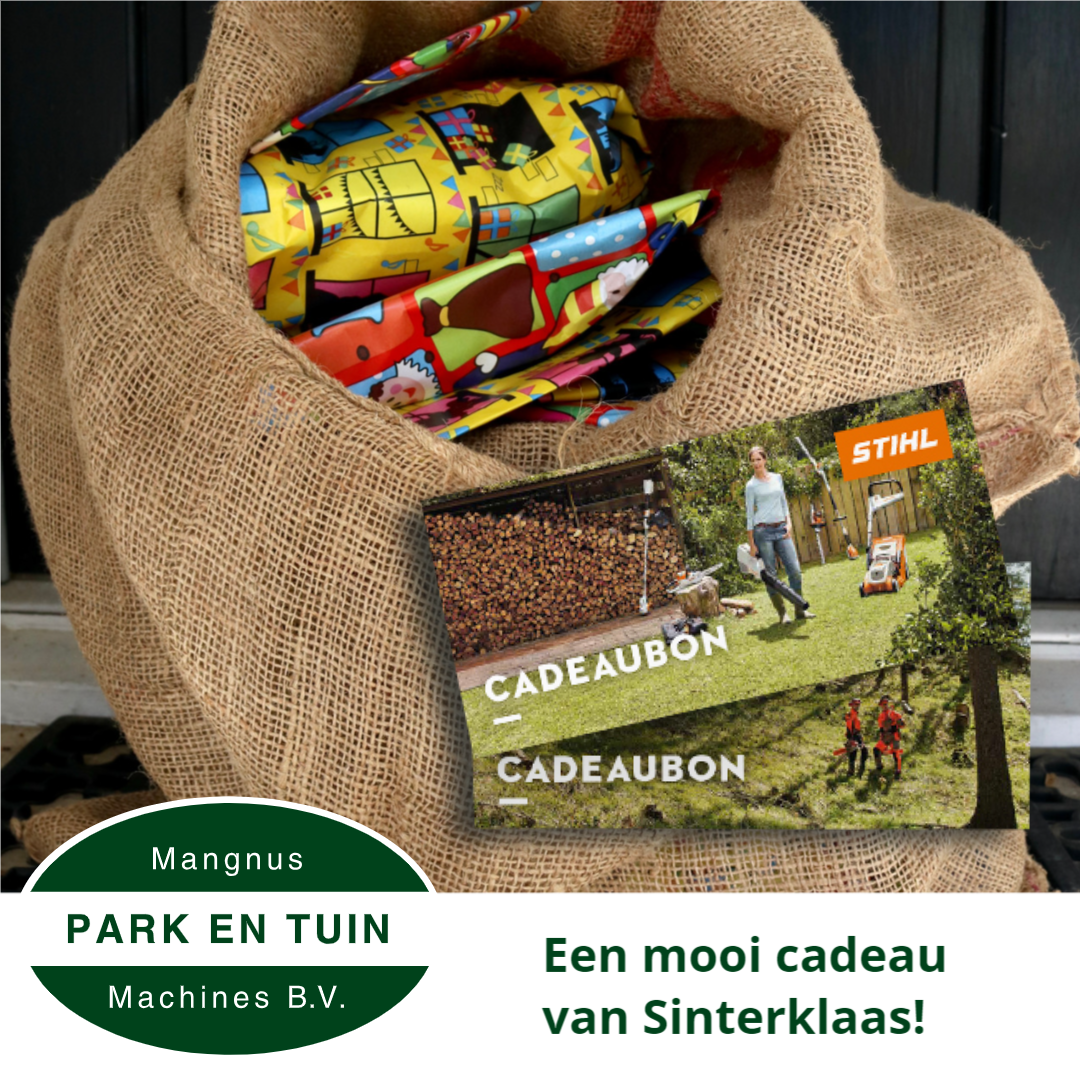 Op zoek naar het perfecte cadeau voor pakjesavond?
