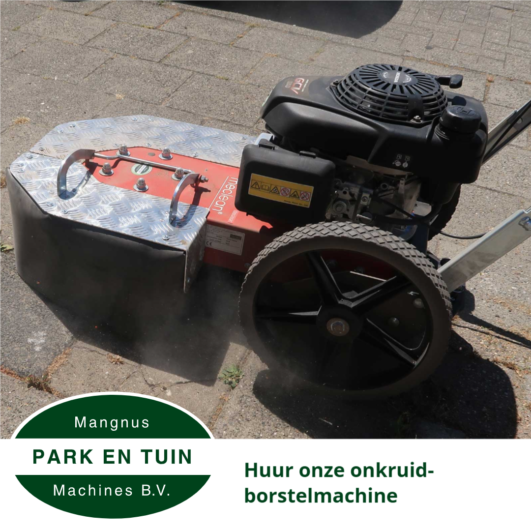 Zeg dag tegen onkruid deze zomer!
